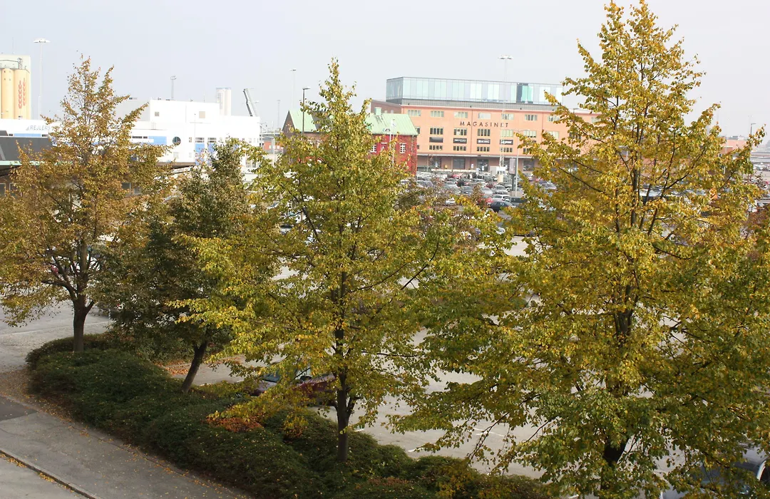 First Hotel Joergen Kock-1